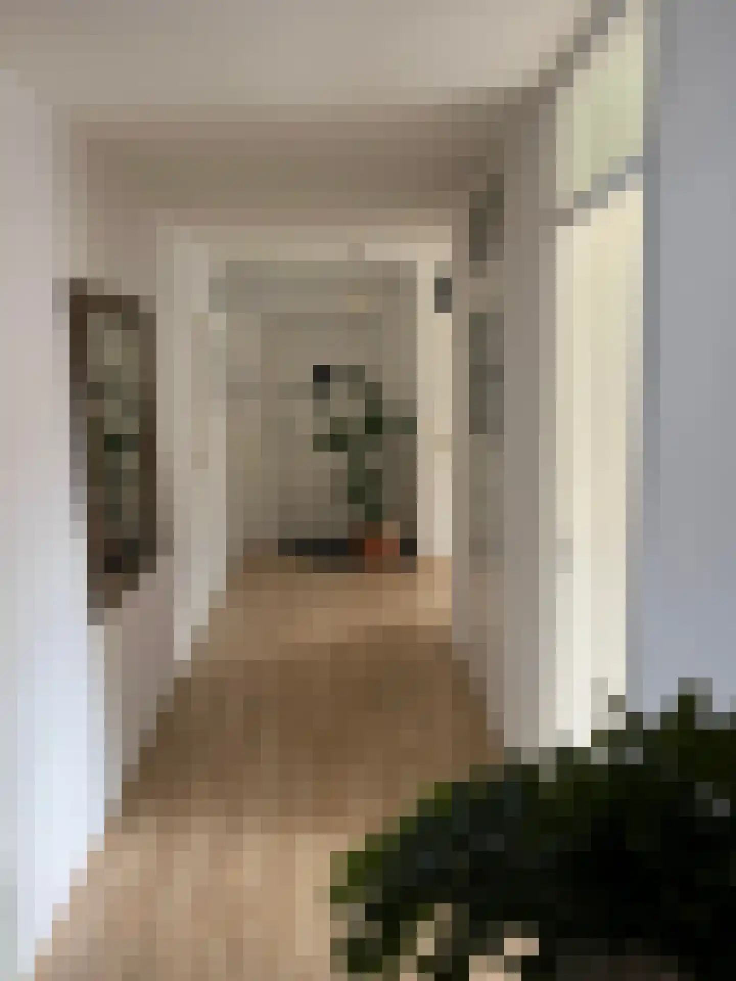 Hermanus Boexstraat 17 Eindhoven thumbnail 5