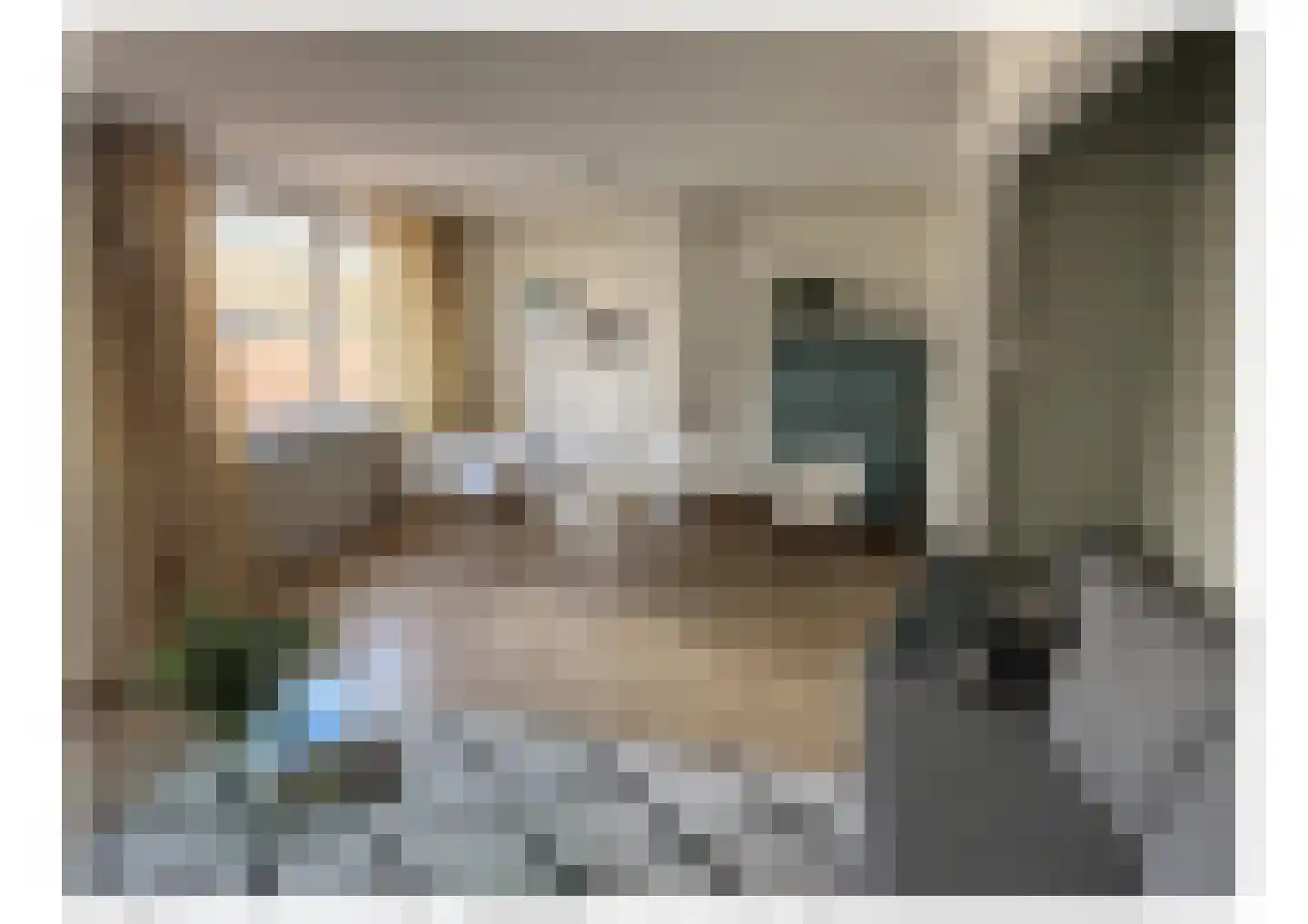 Hermanus Boexstraat 17 Eindhoven thumbnail 9