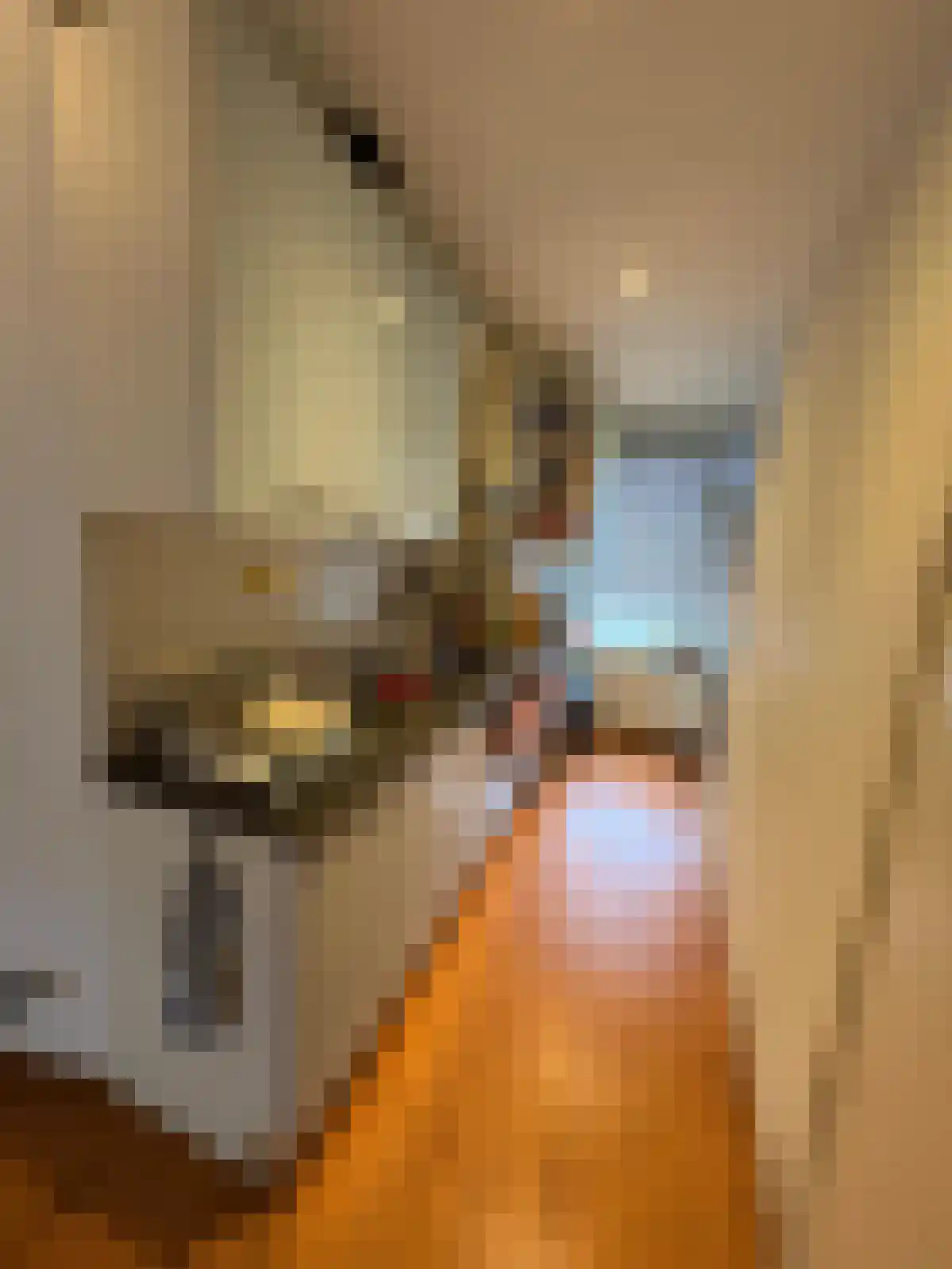 Hermanus Boexstraat 34 Eindhoven thumbnail 5