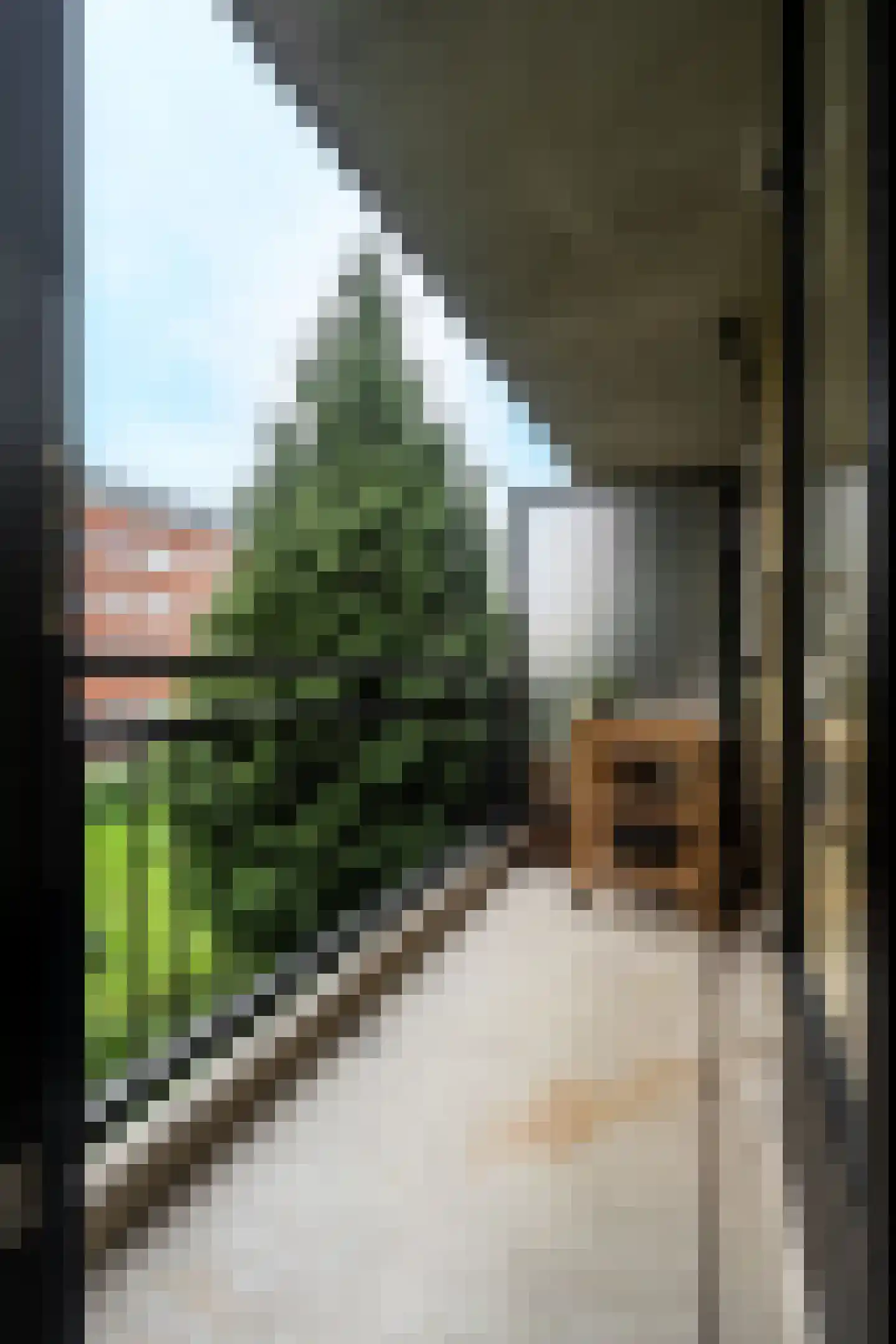 Hermanus Coenradistraat 14 1 Amsterdam thumbnail 22