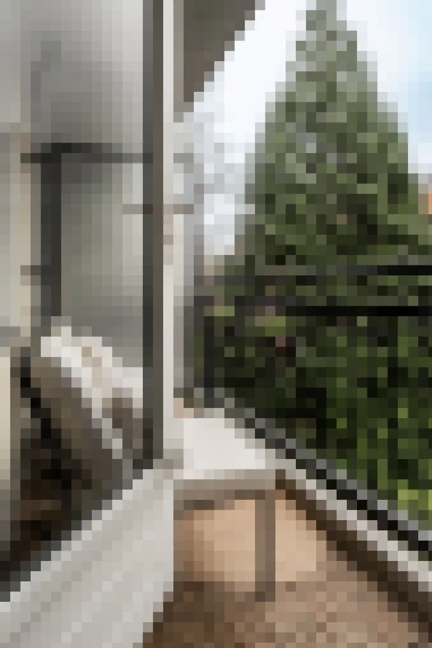 Hermanus Coenradistraat 8 2 Amsterdam thumbnail 23