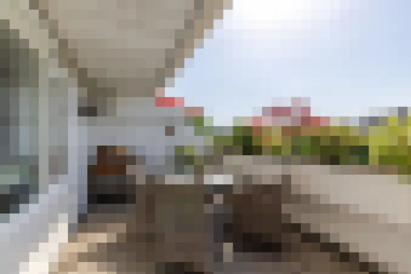 Hermanus M H Coenradistraat 39 Schiedam thumbnail 21