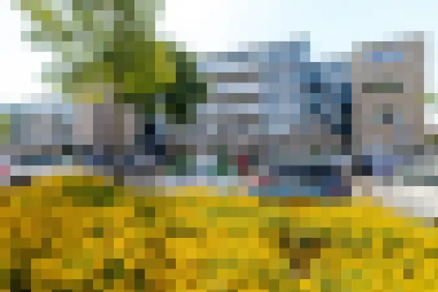 Hermanus M H Coenradistraat 39 Schiedam thumbnail 47