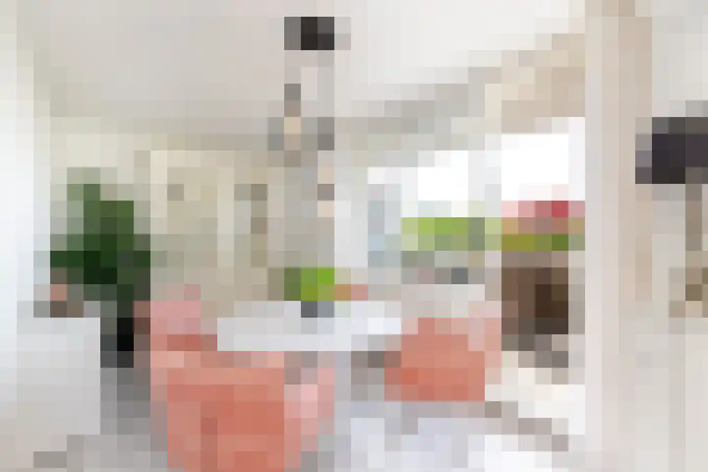 Hermanus M H Coenradistraat 39 Schiedam thumbnail 6
