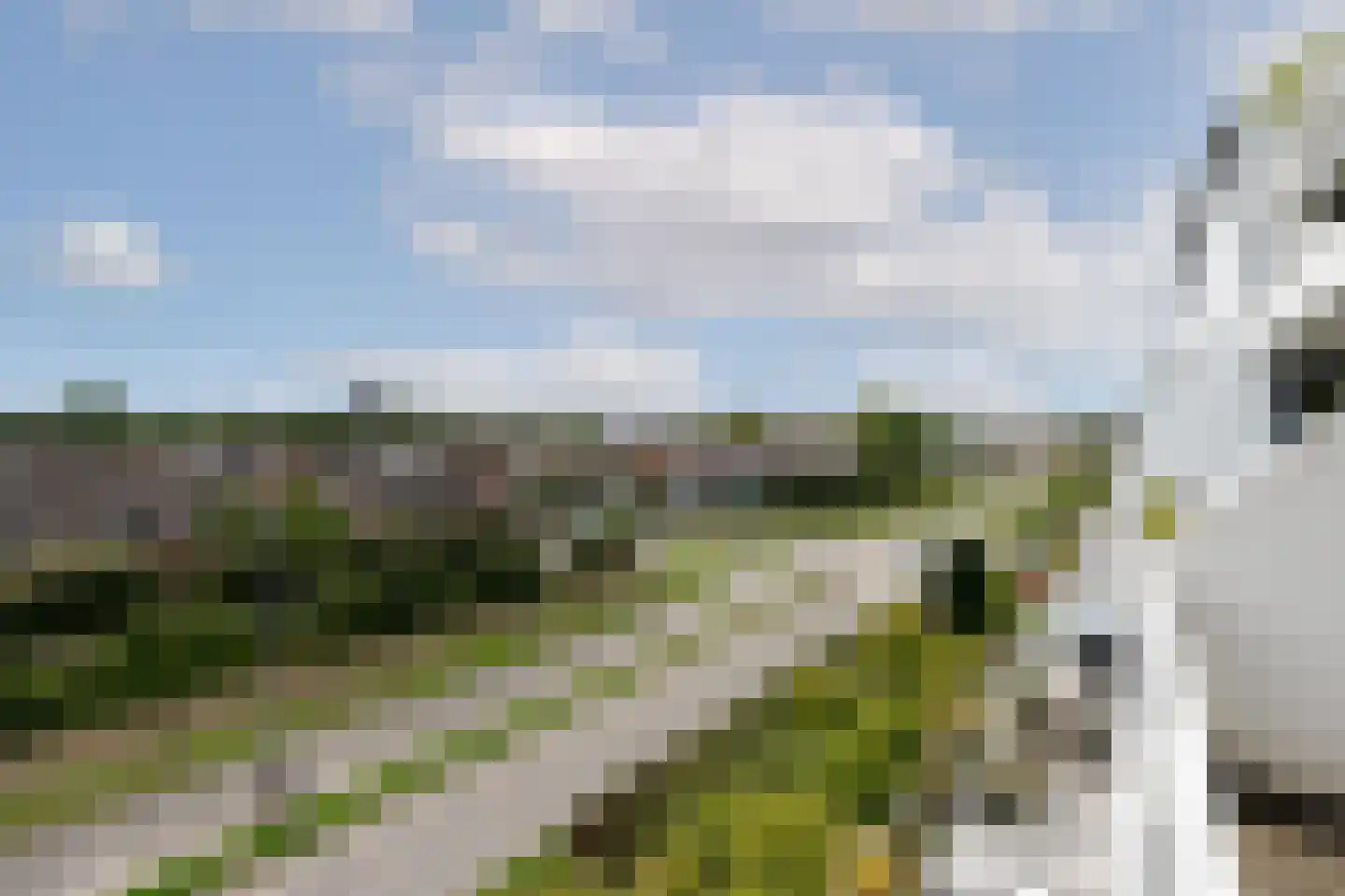 Hermanus M H Coenradistraat 69 Schiedam thumbnail 28