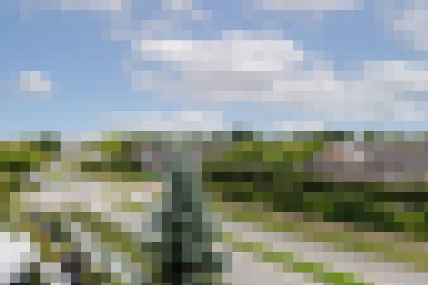 Hermanus M H Coenradistraat 69 Schiedam thumbnail 29