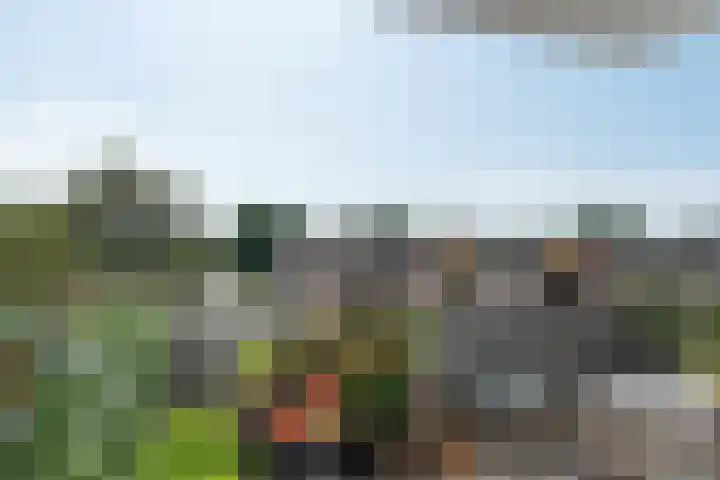 Hermanus Reyntjeslaan 84 A Monnickendam thumbnail 22