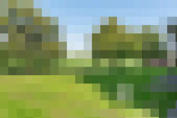 Hermanus Reyntjeslaan 84 A Monnickendam thumbnail 37