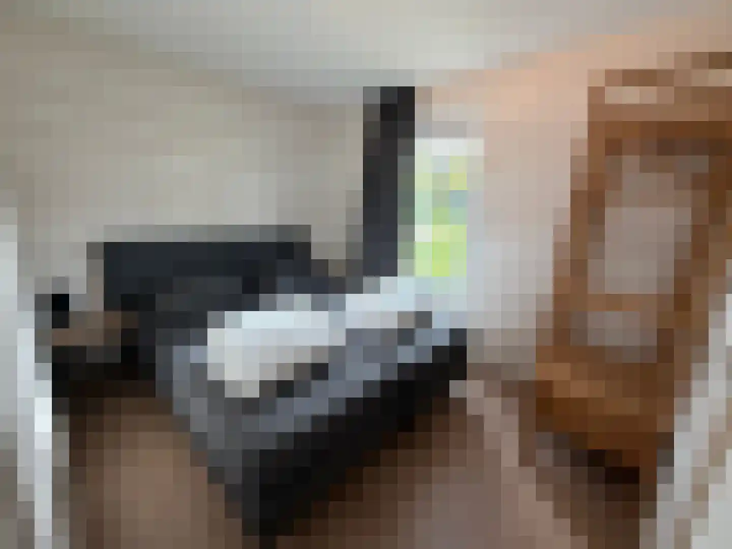 Hermanusweg 4 R102 Schaijk thumbnail 12