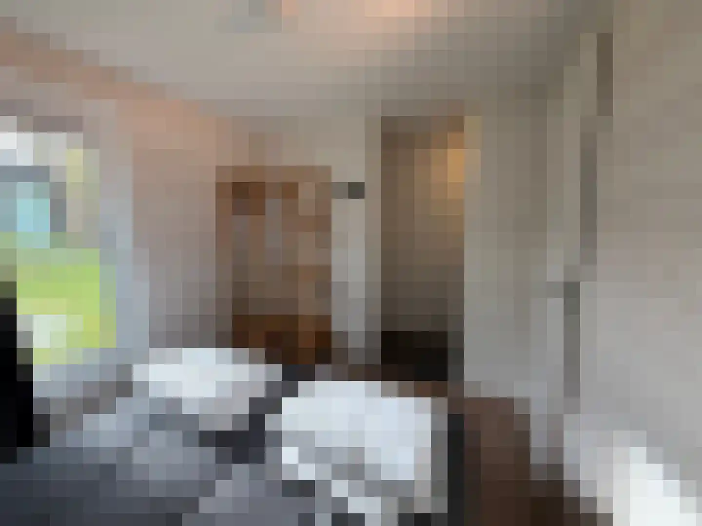 Hermanusweg 4 R102 Schaijk thumbnail 15