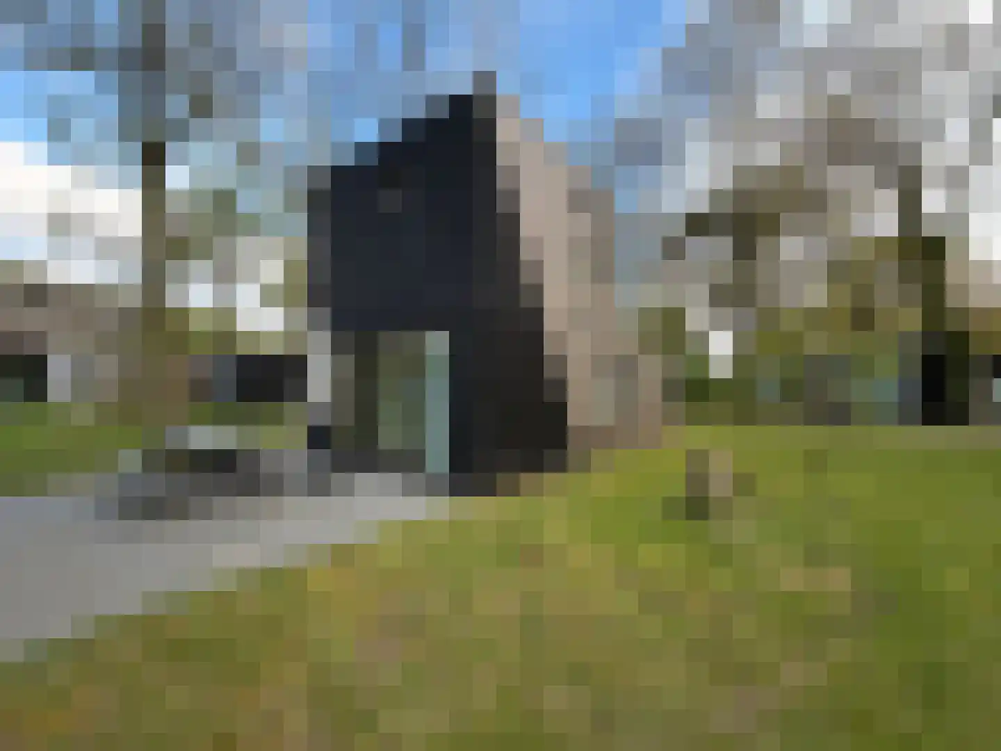 Hermanusweg 4 R102 Schaijk thumbnail 16