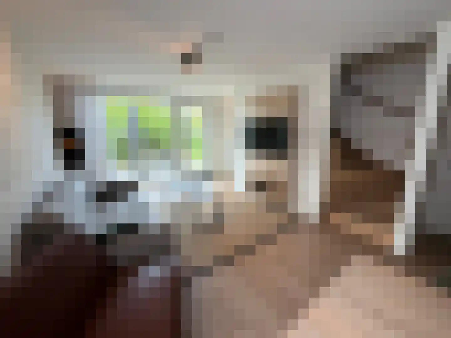Hermanusweg 4 R102 Schaijk thumbnail 4