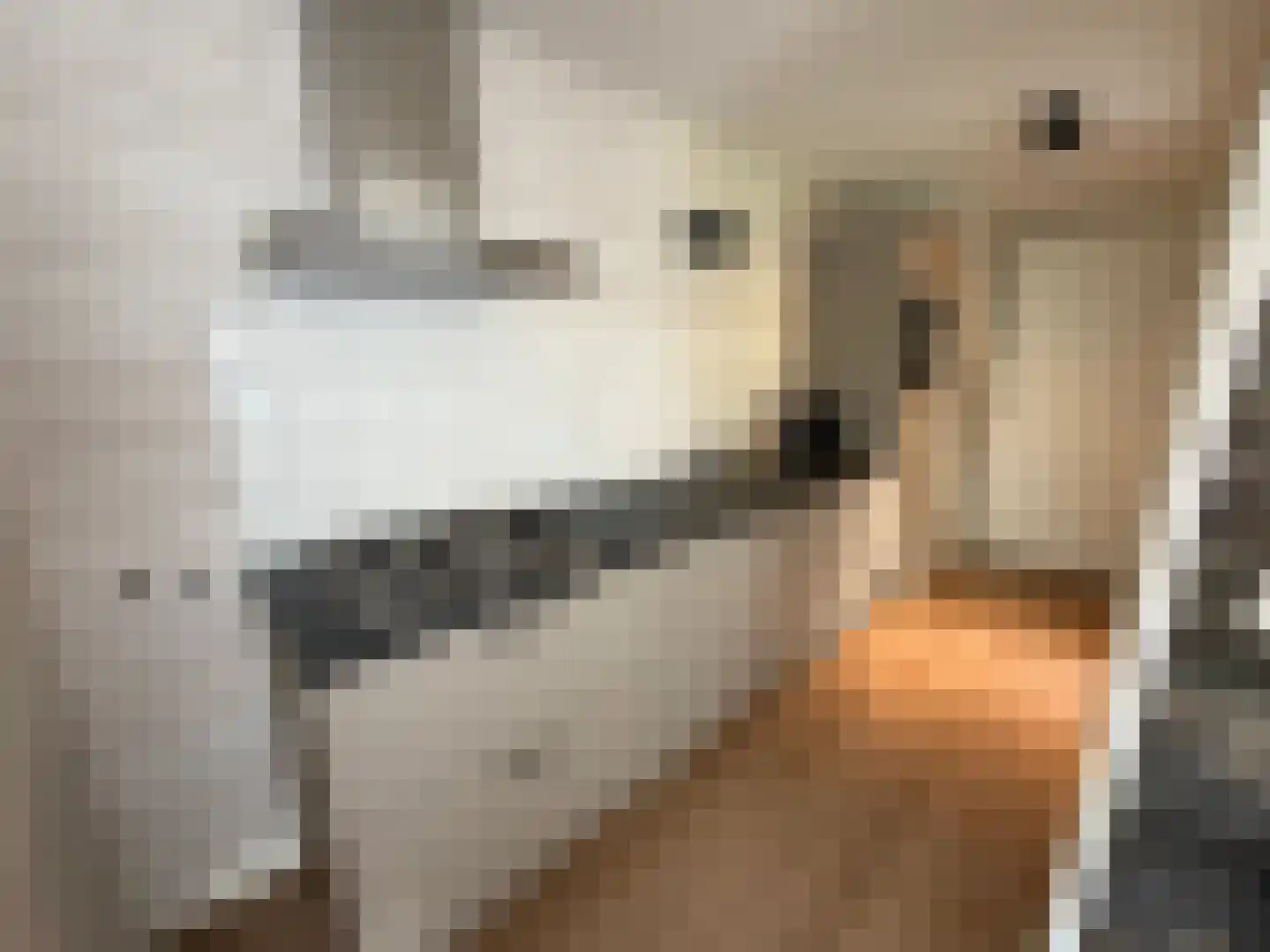 Hermanusweg 4 R102 Schaijk thumbnail 5