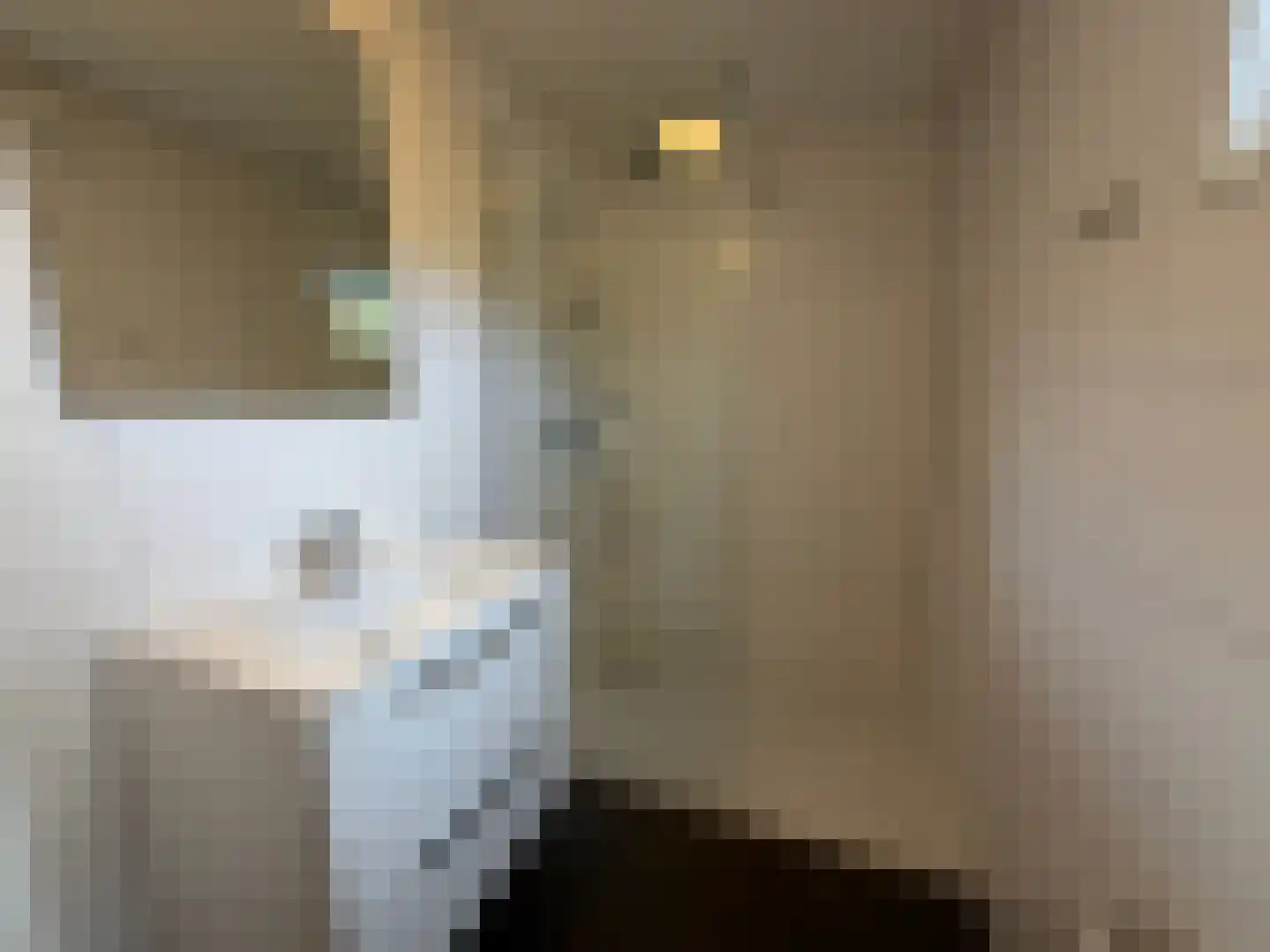 Hermanusweg 4 R102 Schaijk thumbnail 6