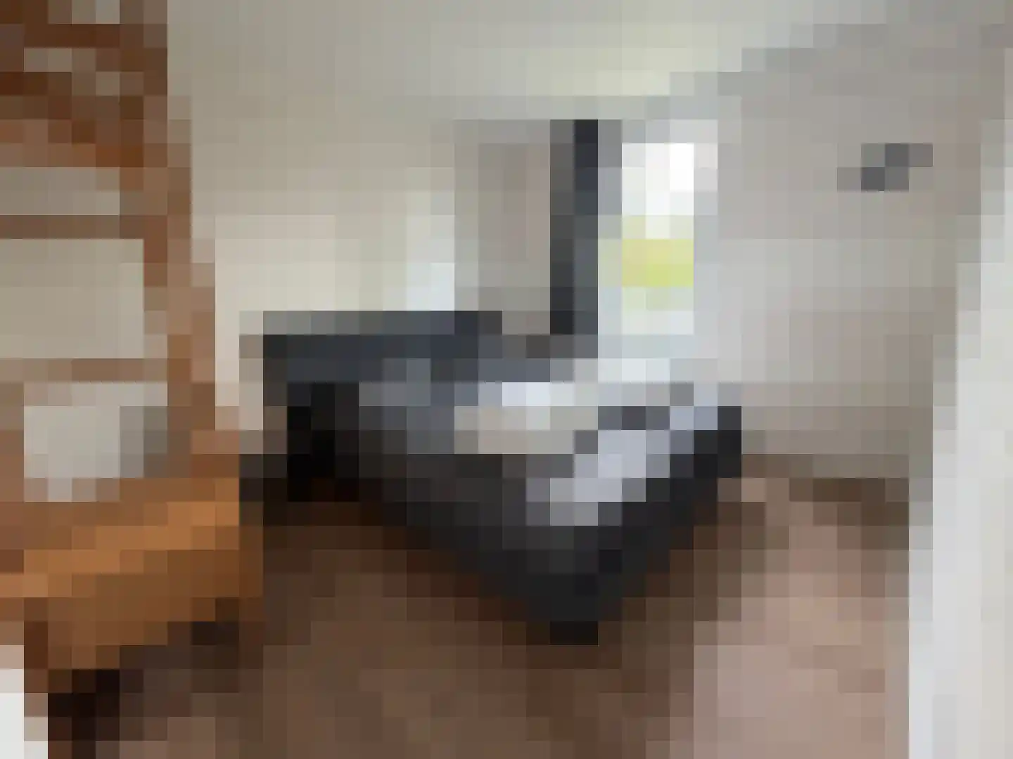 Hermanusweg 4 R102 Schaijk thumbnail 8