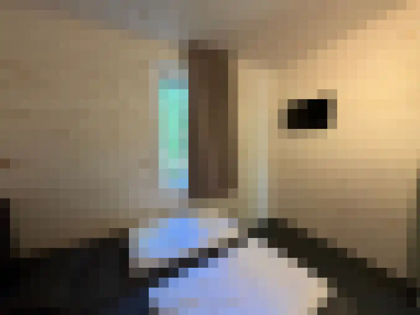 Hermanusweg 4 r18 Schaijk thumbnail 10