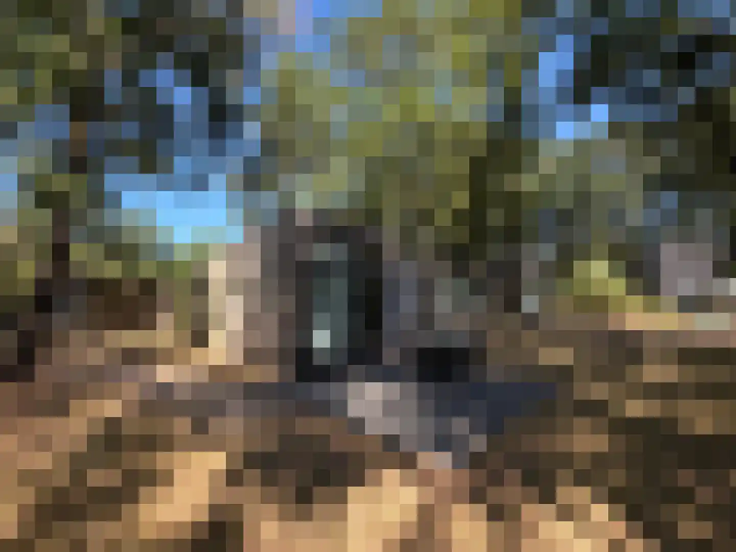 Hermanusweg 4 r18 Schaijk thumbnail 13