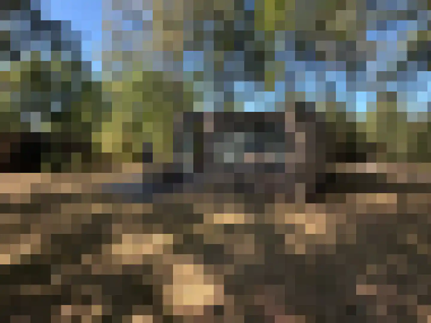 Hermanusweg 4 r18 Schaijk thumbnail 14