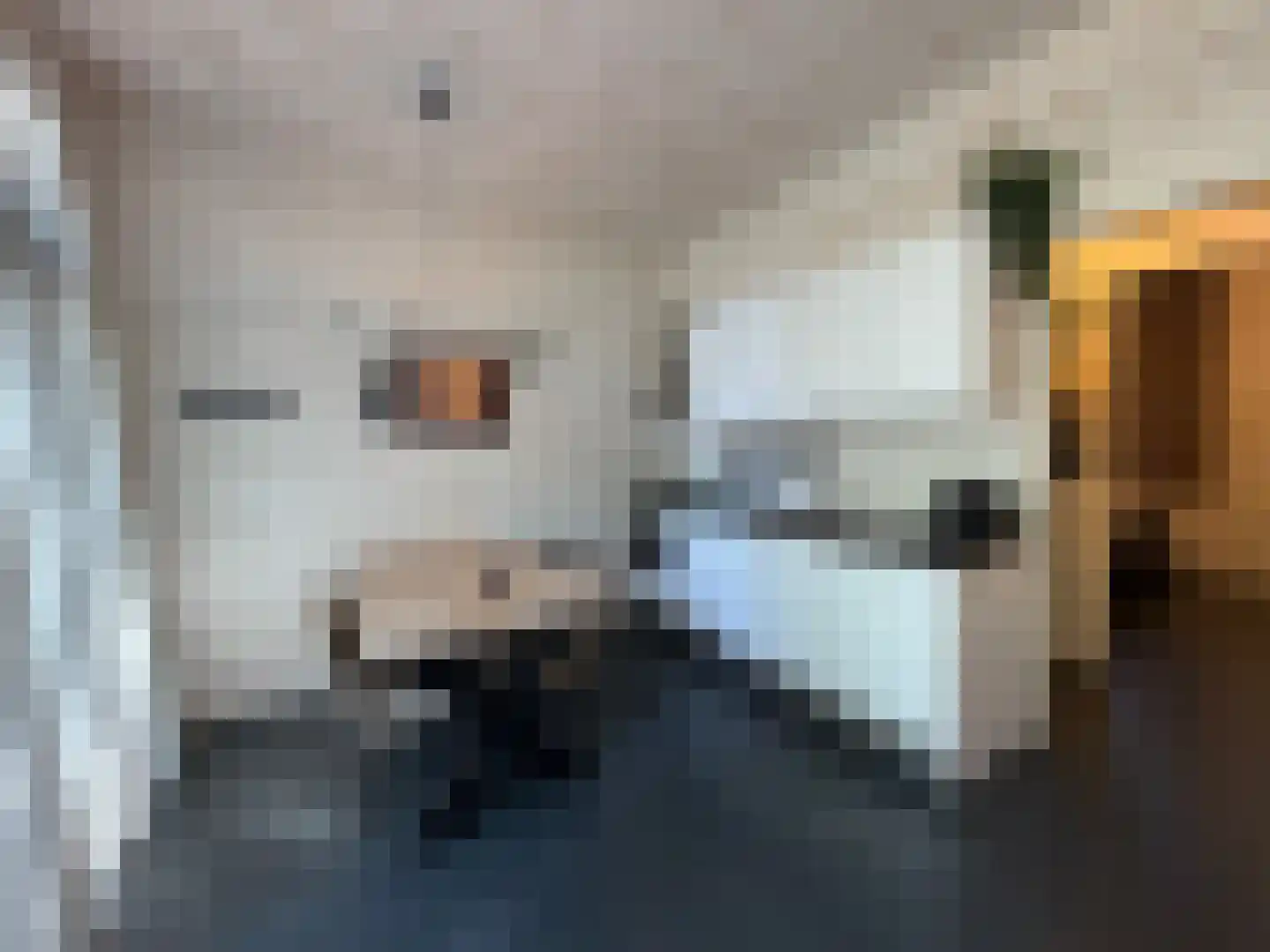 Hermanusweg 4 r18 Schaijk thumbnail 5
