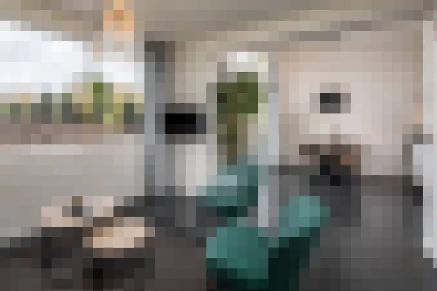 Hermanusweg 4 r18 Schaijk thumbnail 5