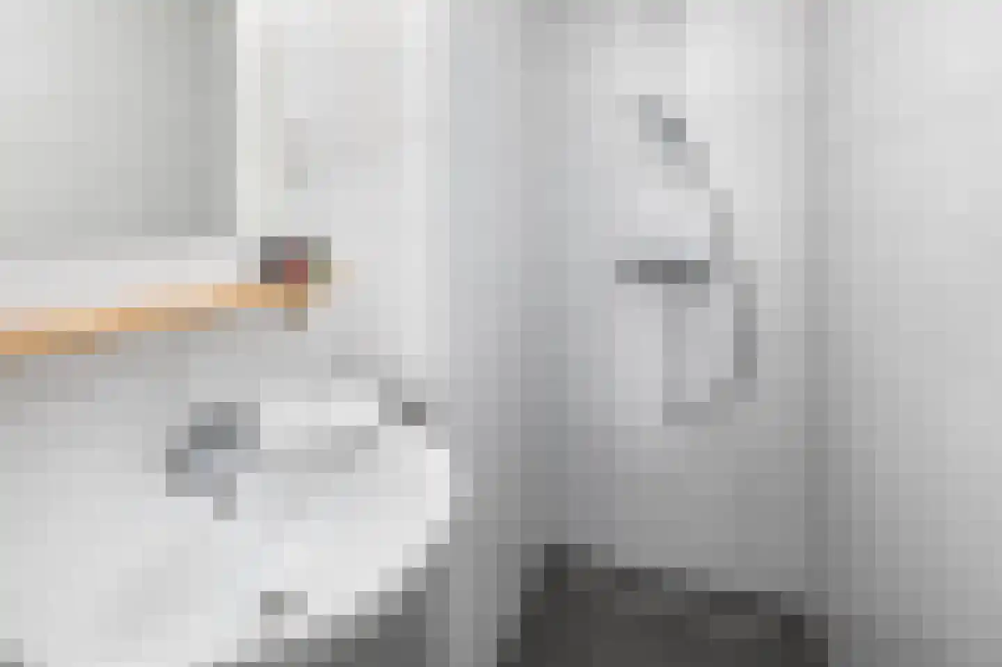 Hermanusweg 4 r18 Schaijk thumbnail 6