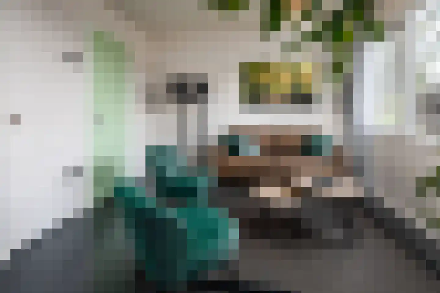 Hermanusweg 4 r18 Schaijk thumbnail 7
