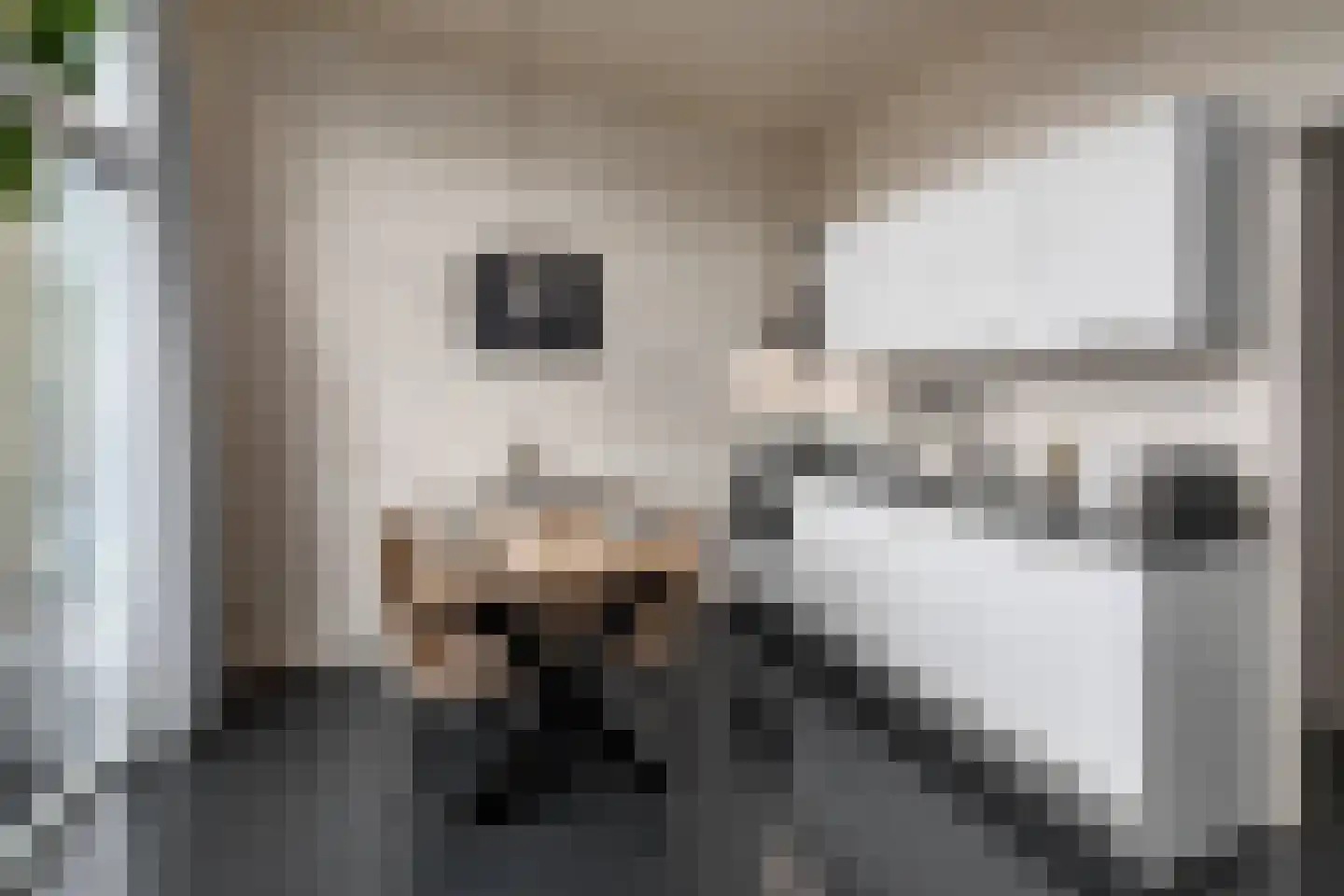 Hermanusweg 4 r18 Schaijk thumbnail 8