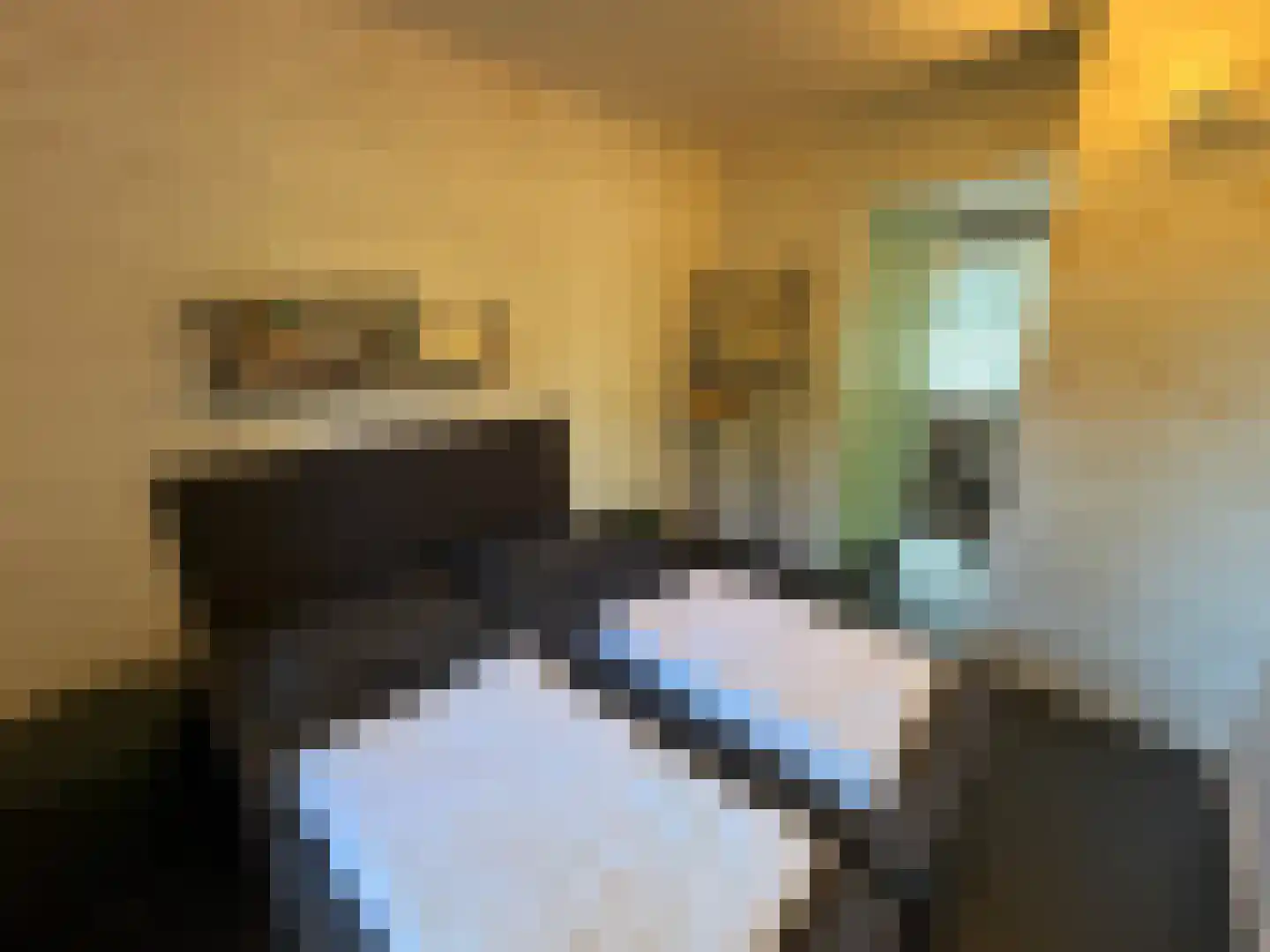 Hermanusweg 4 r18 Schaijk thumbnail 8