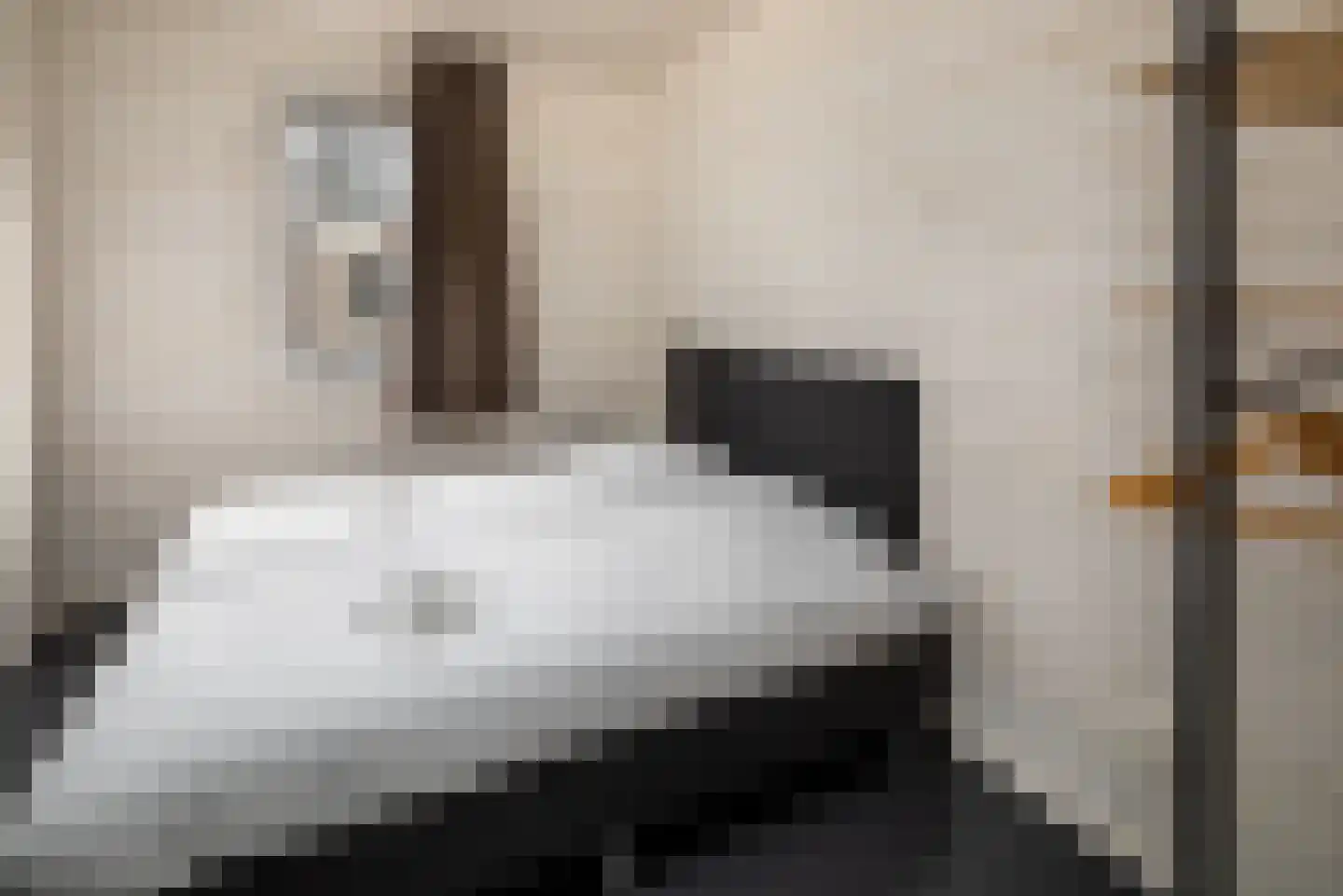 Hermanusweg 4 r18 Schaijk thumbnail 9