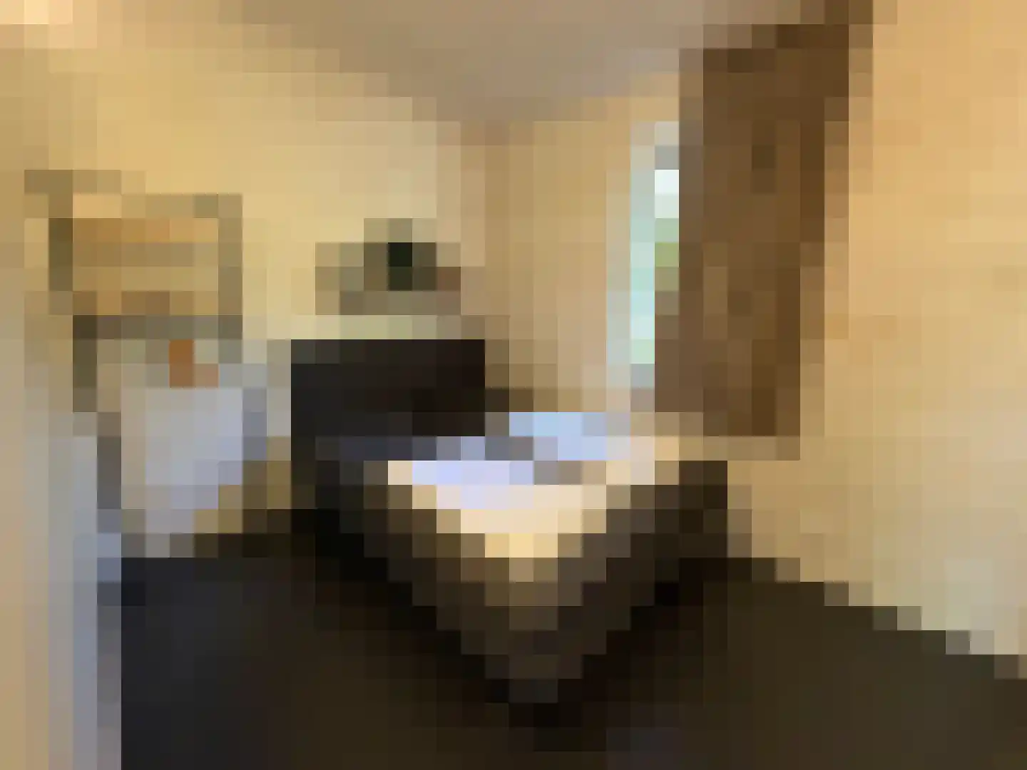 Hermanusweg 4 r18 Schaijk thumbnail 9