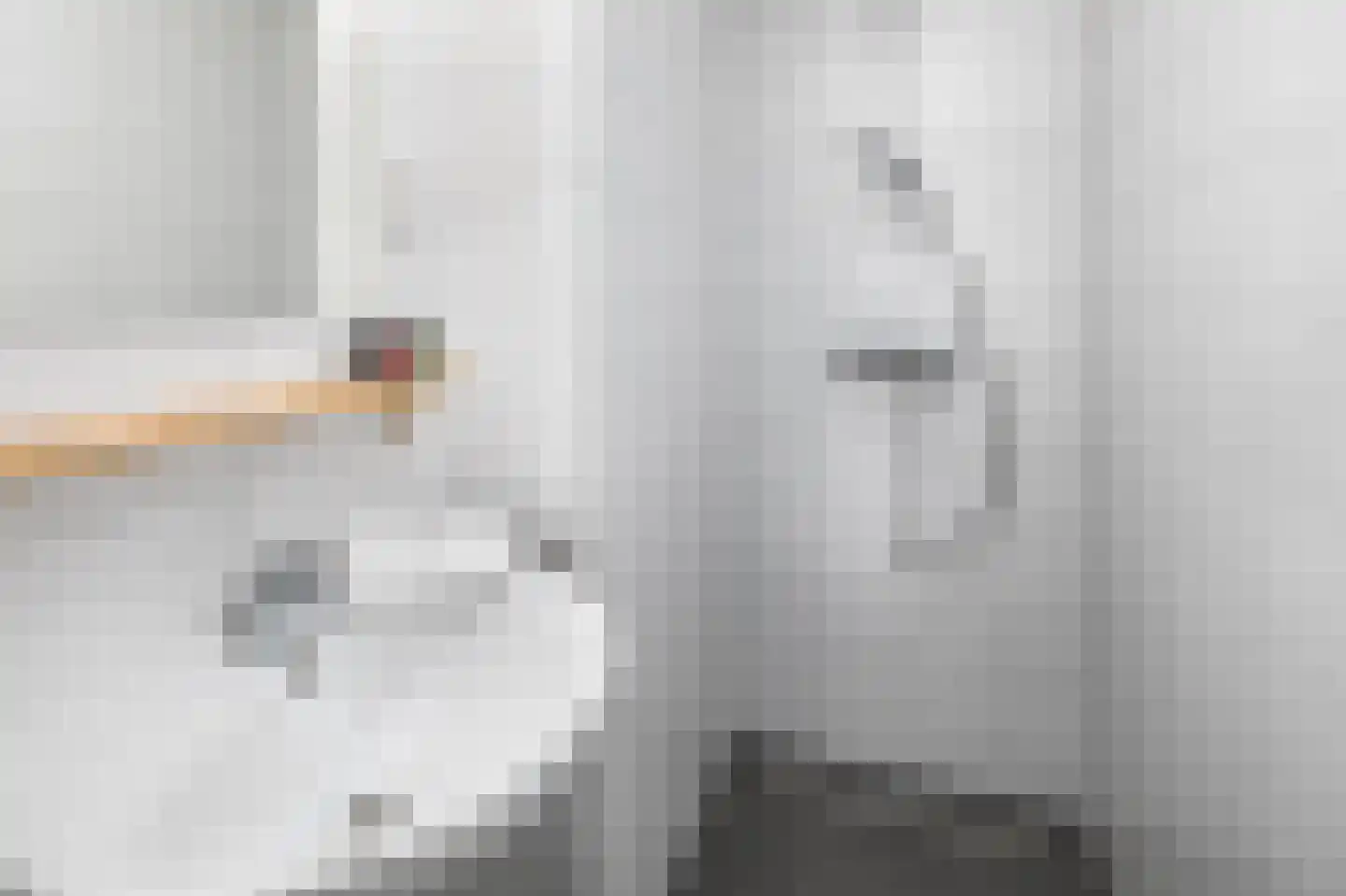 Hermanusweg 4 r22 Schaijk thumbnail 4