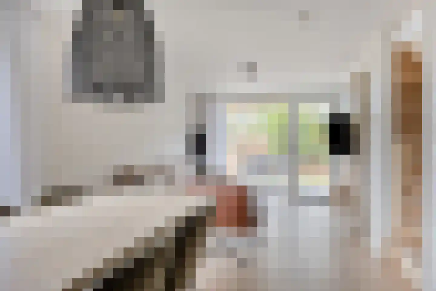 Hermanusweg 4 R80 Schaijk thumbnail 7