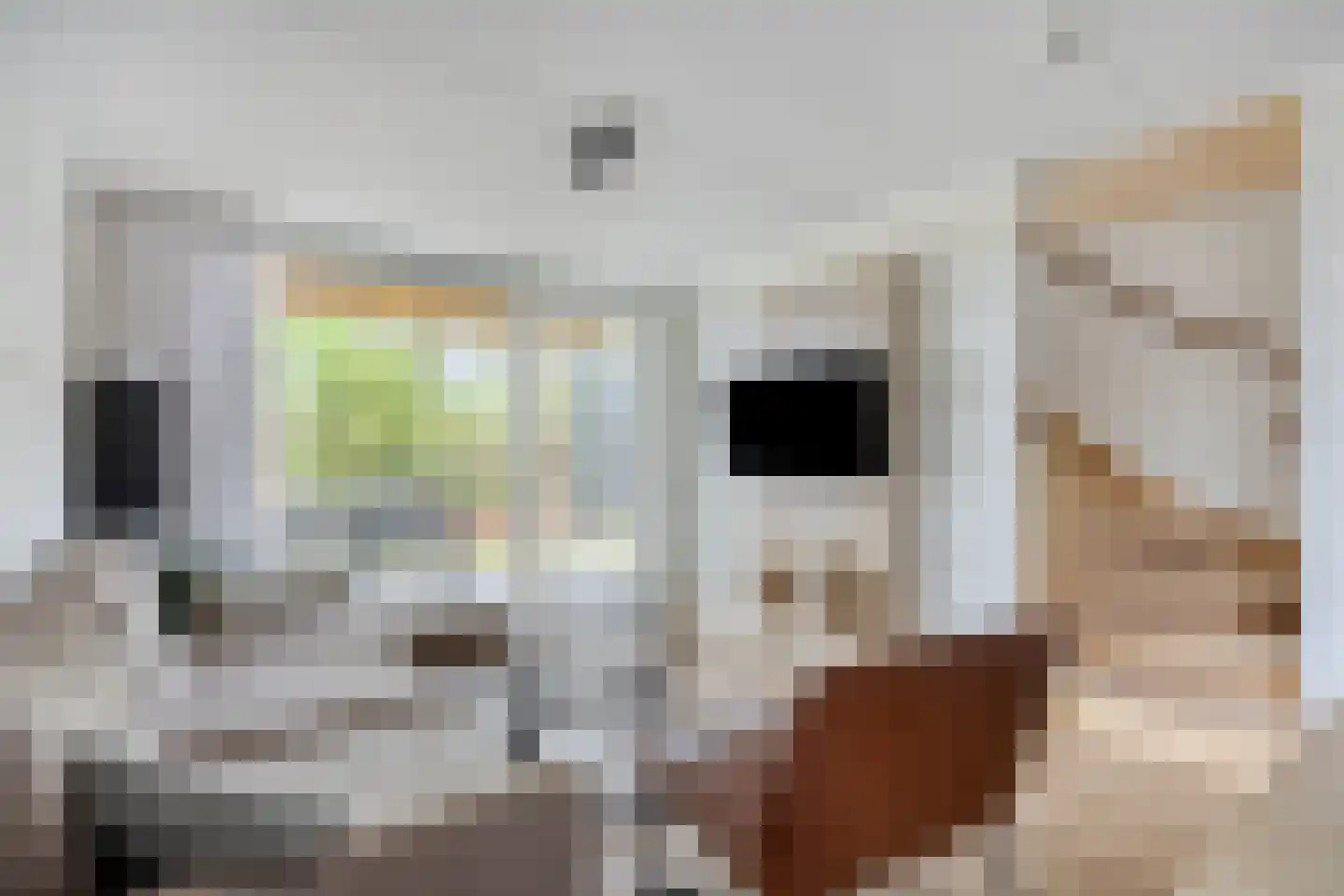 Hermanusweg 4 R80 Schaijk thumbnail 8