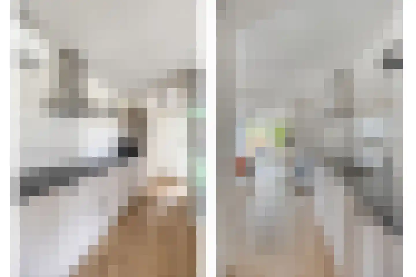 Hermanusweg 4 R80 Schaijk thumbnail 9