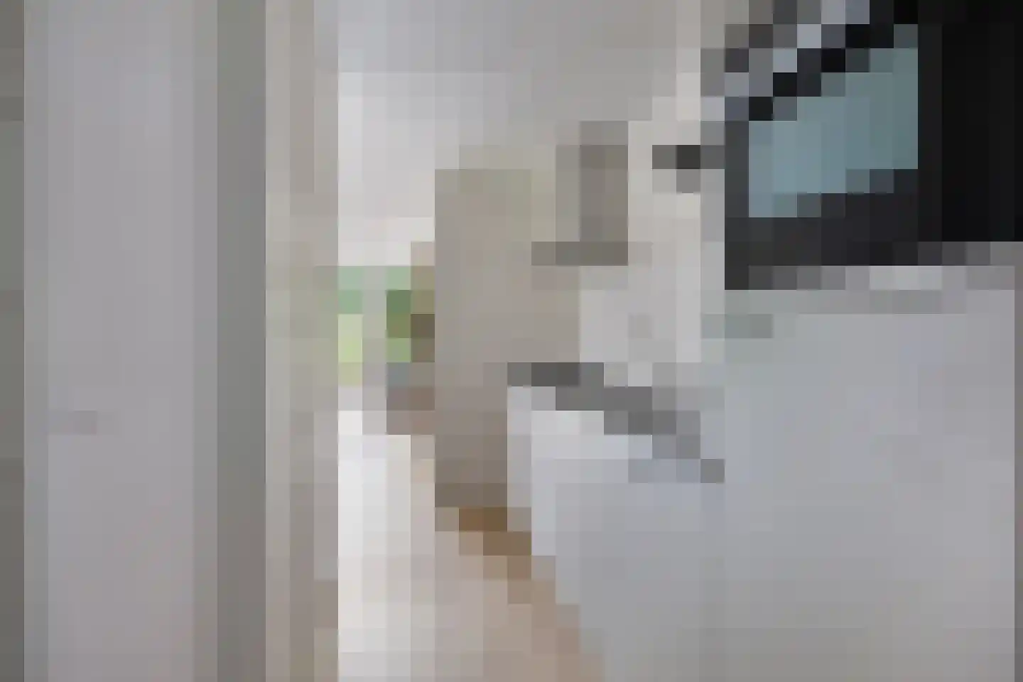 Hermanusweg 4 R86 Schaijk thumbnail 11