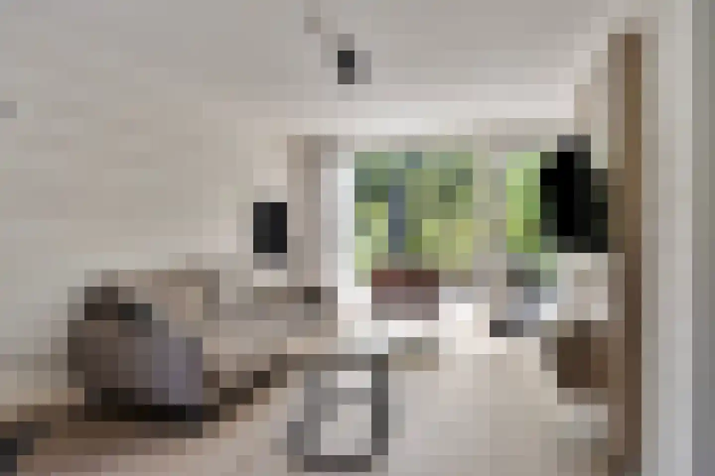 Hermanusweg 4 R86 Schaijk thumbnail 5