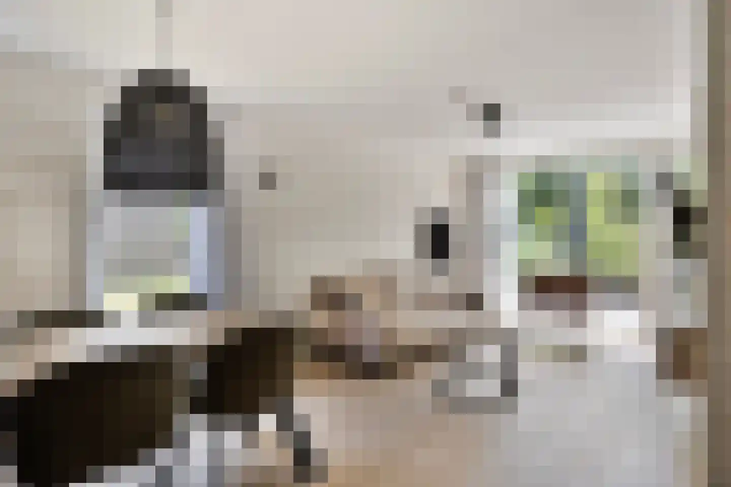 Hermanusweg 4 R86 Schaijk thumbnail 7