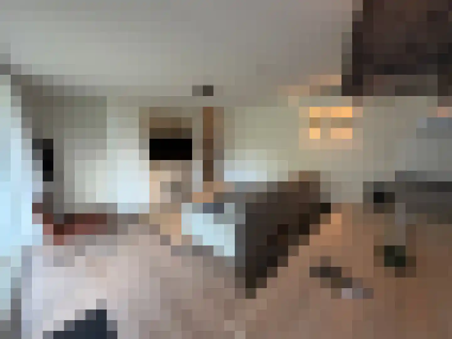 Hermanusweg 4 R9 Schaijk thumbnail 12
