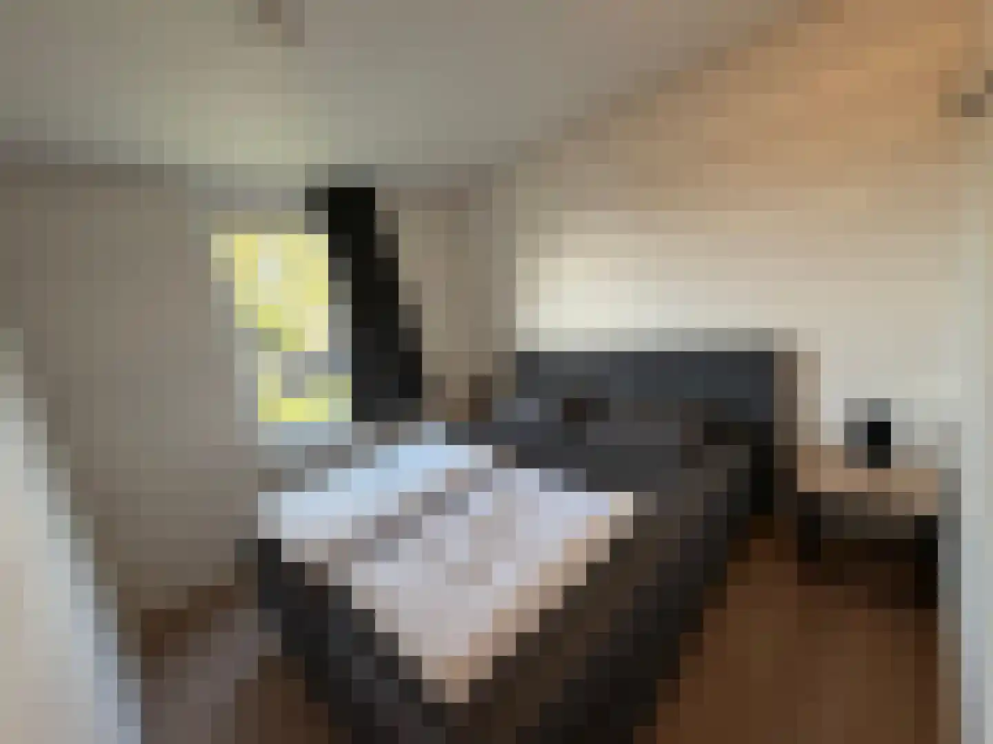 Hermanusweg 4 R9 Schaijk thumbnail 14