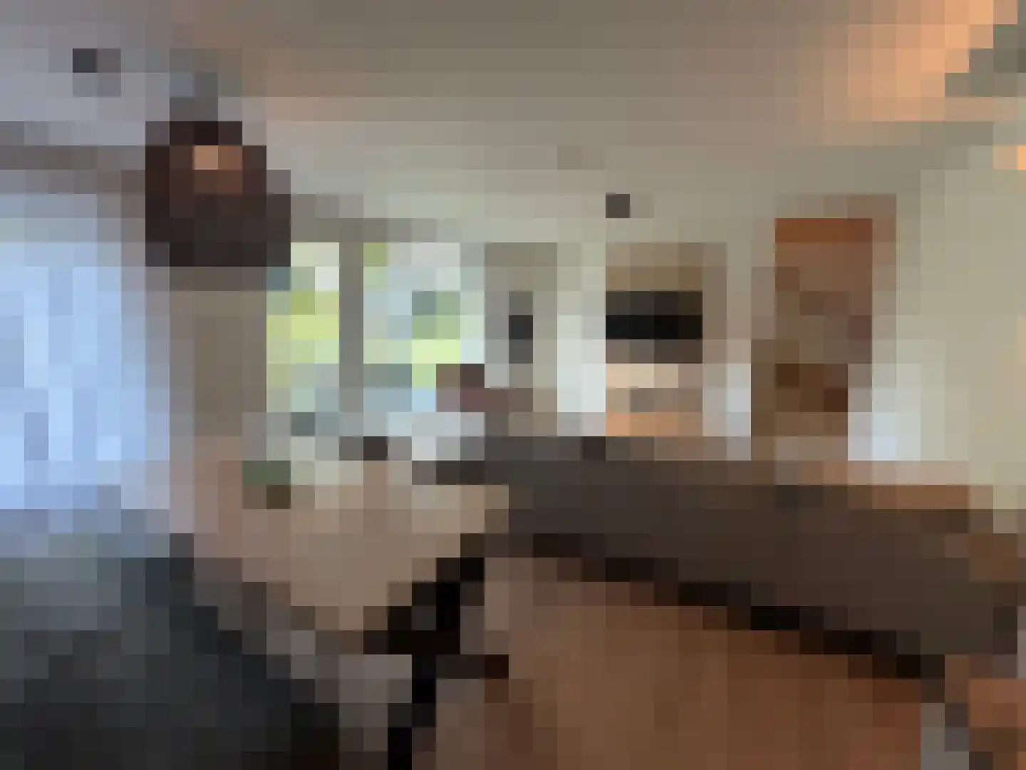 Hermanusweg 4 R9 Schaijk thumbnail 5