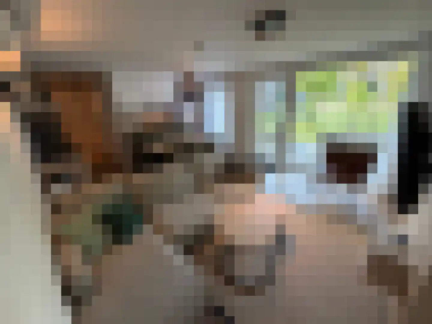 Hermanusweg 4 R9 Schaijk thumbnail 7