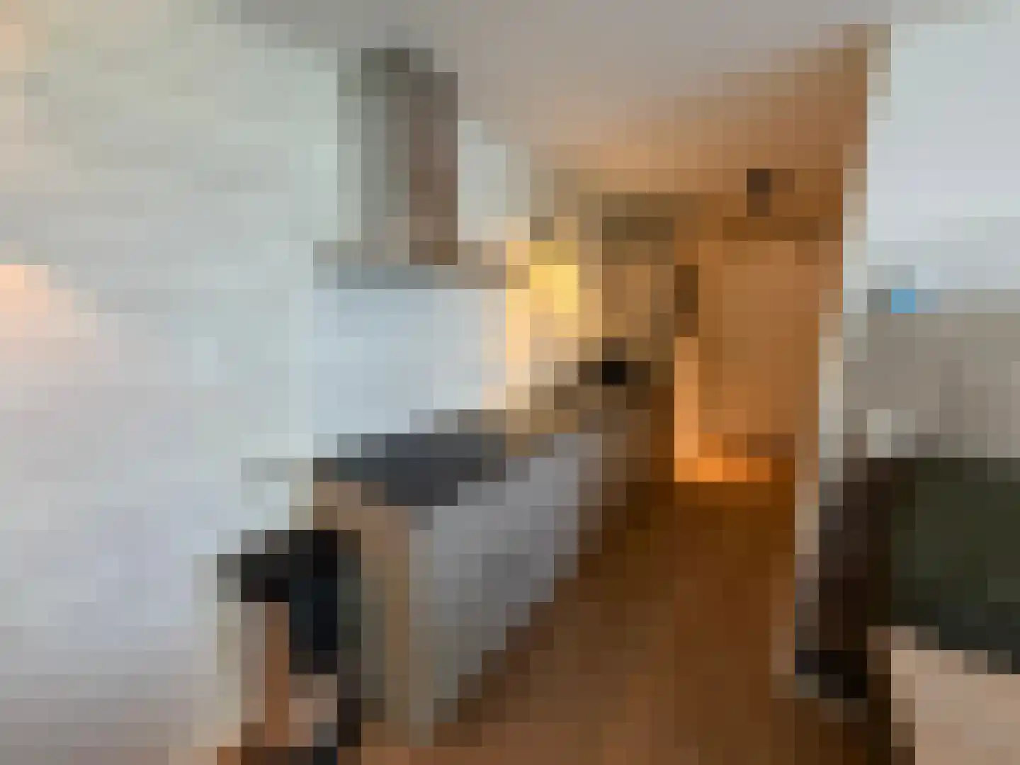 Hermanusweg 4 R9 Schaijk thumbnail 8