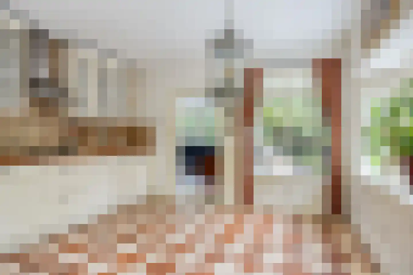 Hermanusweg 47 Schaijk thumbnail 16