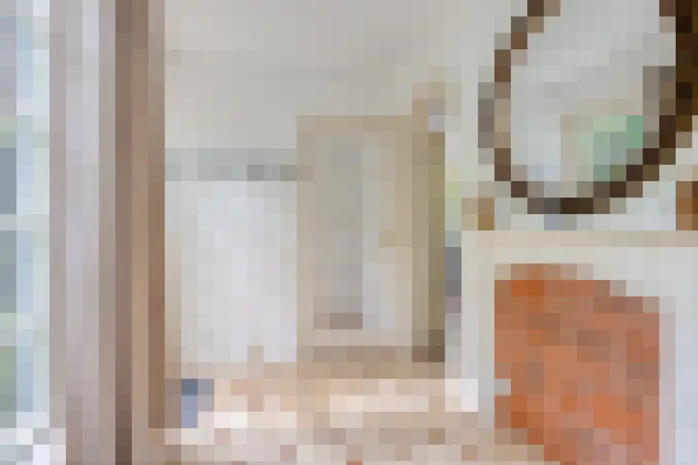 Hermanusweg 47 Schaijk thumbnail 17
