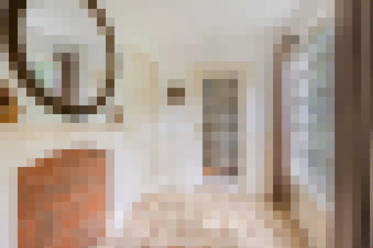 Hermanusweg 47 Schaijk thumbnail 18