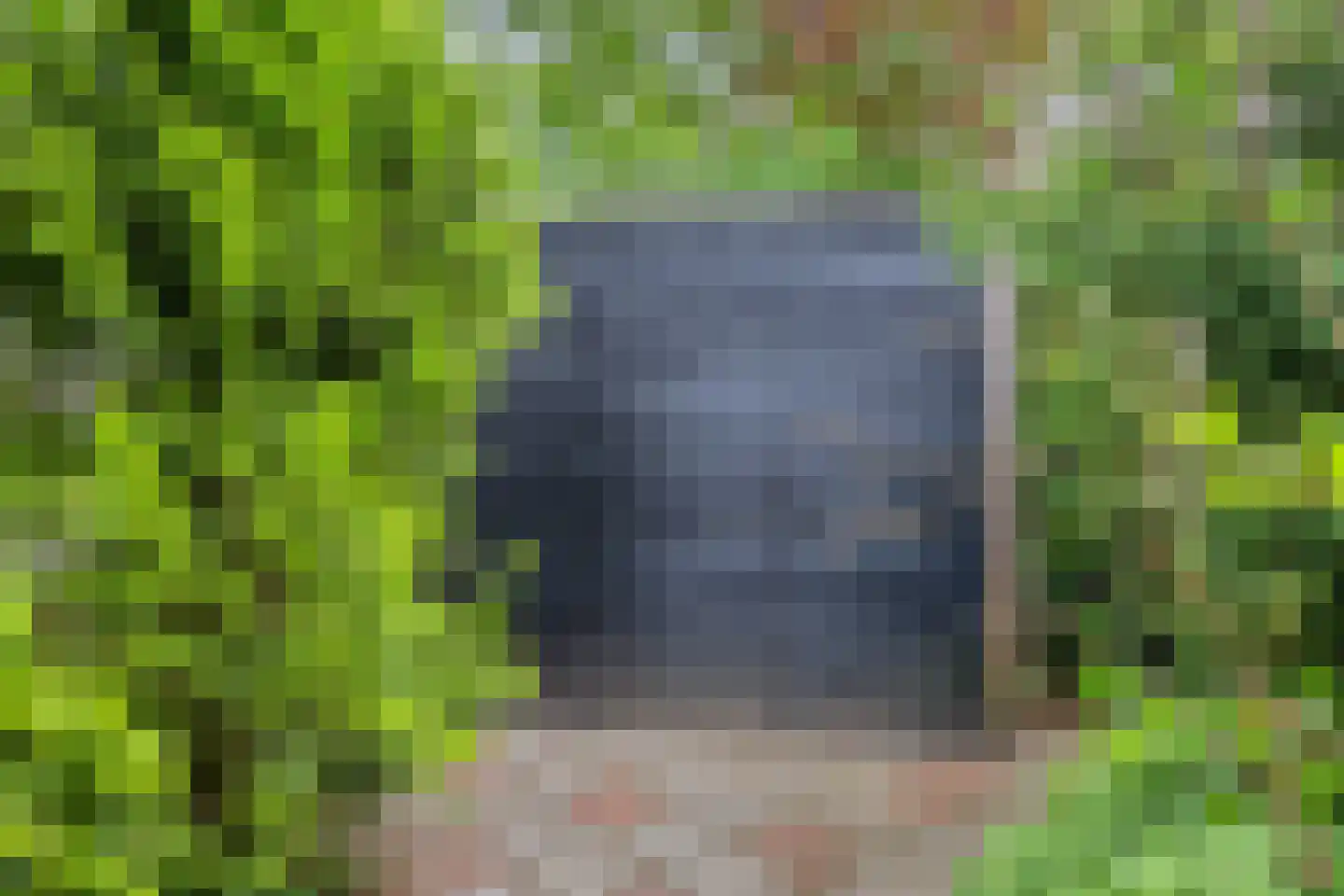 Hermanusweg 47 Schaijk thumbnail 26