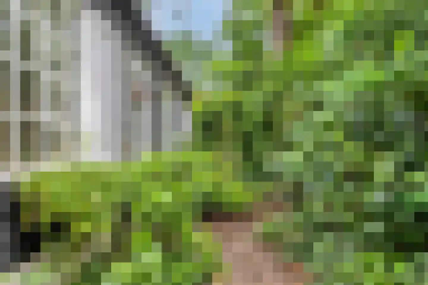 Hermanusweg 47 Schaijk thumbnail 27