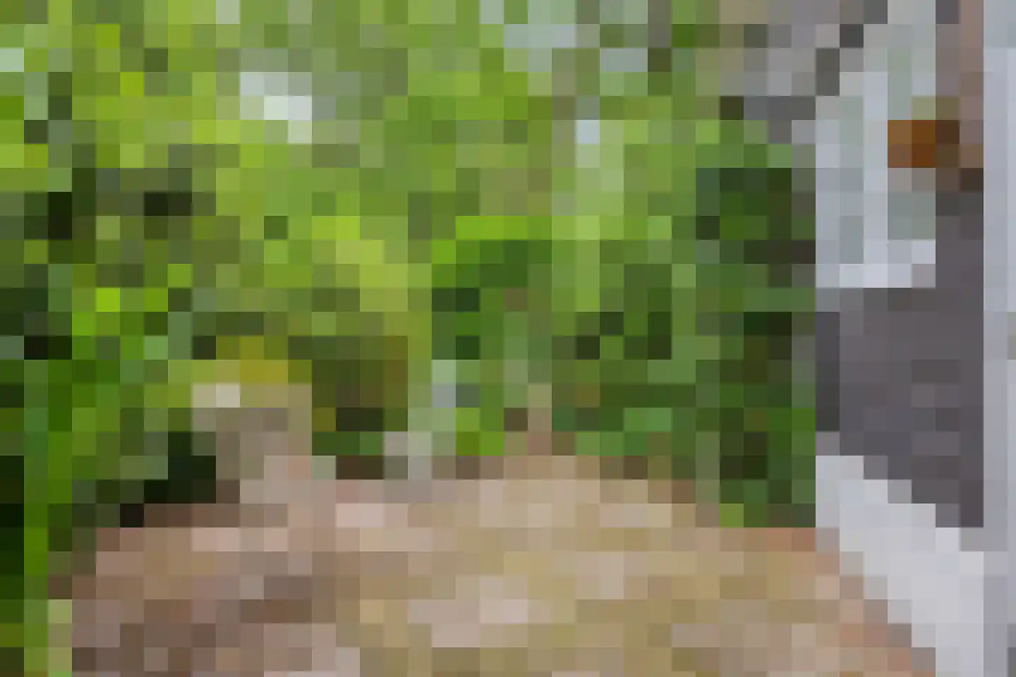 Hermanusweg 47 Schaijk thumbnail 29