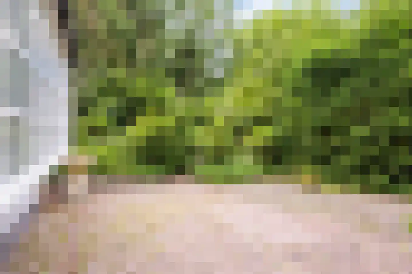 Hermanusweg 47 Schaijk thumbnail 30