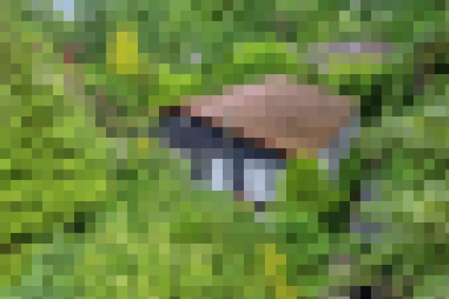 Hermanusweg 47 Schaijk thumbnail 33
